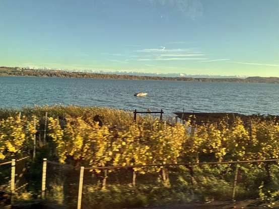 View of the lake from the train.
