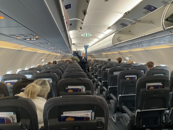 view over rows in a plane, only very view heads are visible