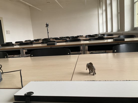 small elephant on the desk loooking into a big but empty lecture room