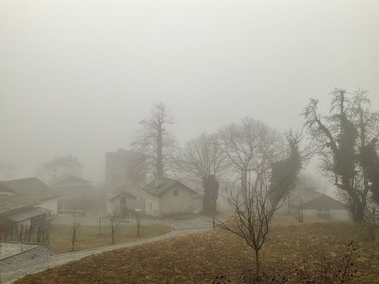 same view but all covered in fog, looks sepia, no mountains, no sky, you can only guess trees