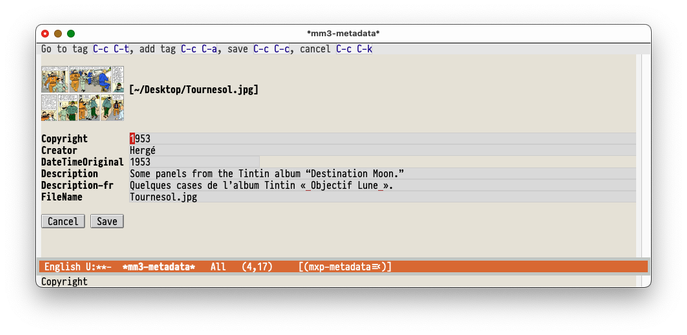Screenshot showing edit-metadata being used to edit basic metadata of an image file.